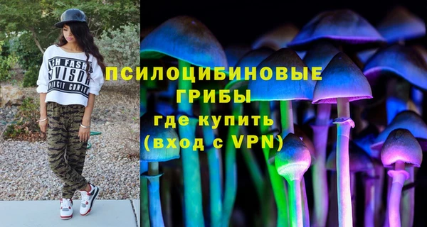2c-b Заводоуковск