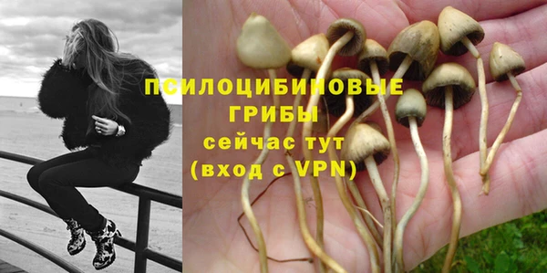 гидропоника Заволжск