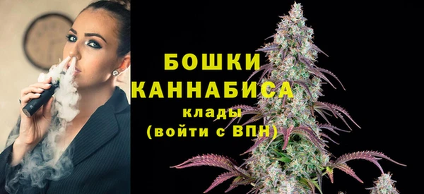2c-b Заводоуковск