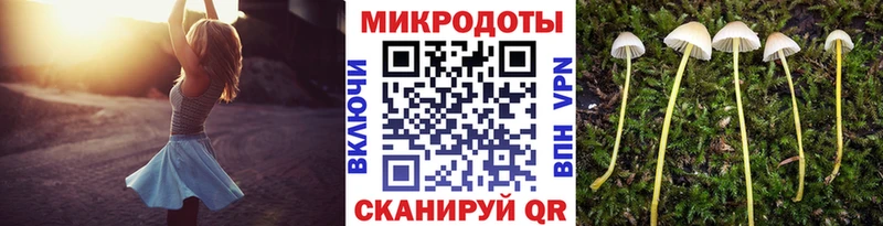 Купить где  Камышлов  Галлюциногенные грибы MAGIC MUSHROOMS 